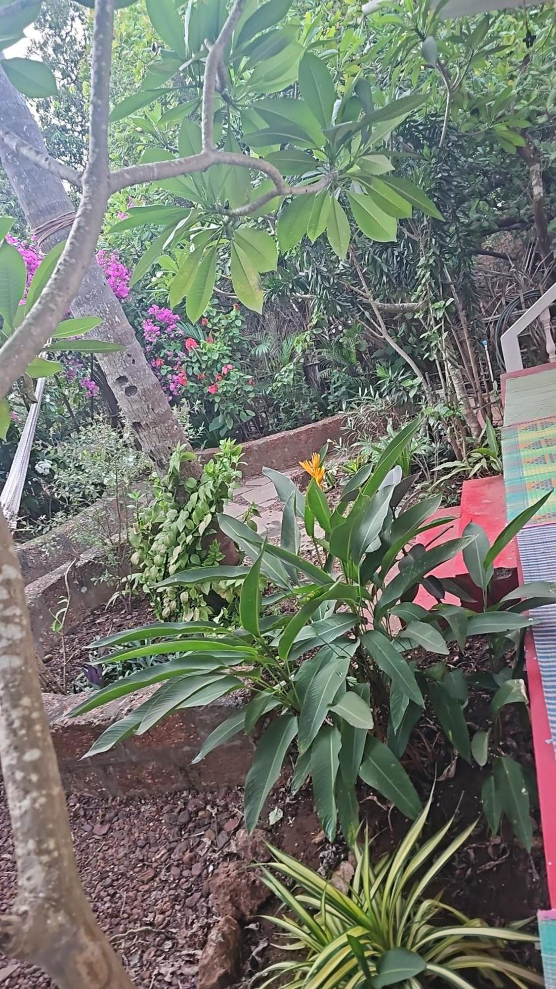 Laxmi Happy Home In Querim Goa Экстерьер фото