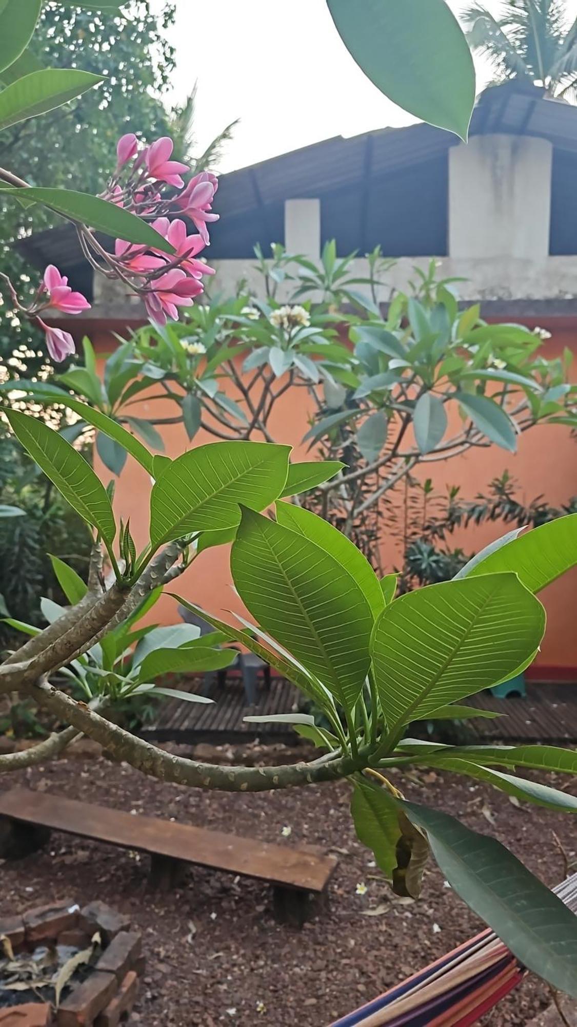 Laxmi Happy Home In Querim Goa Экстерьер фото